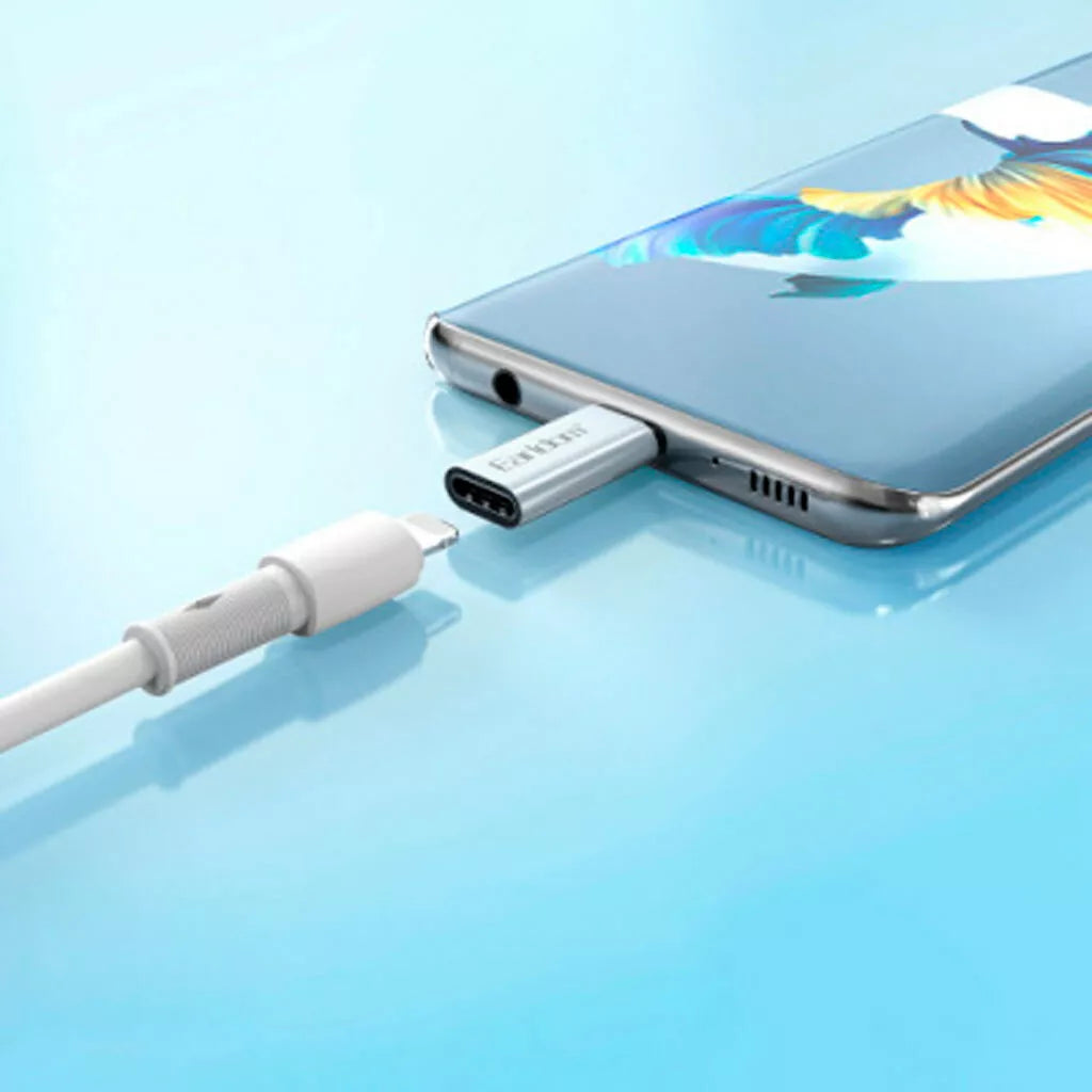 ET-OT104 8-Pin to USB-C Adapter By Earldom