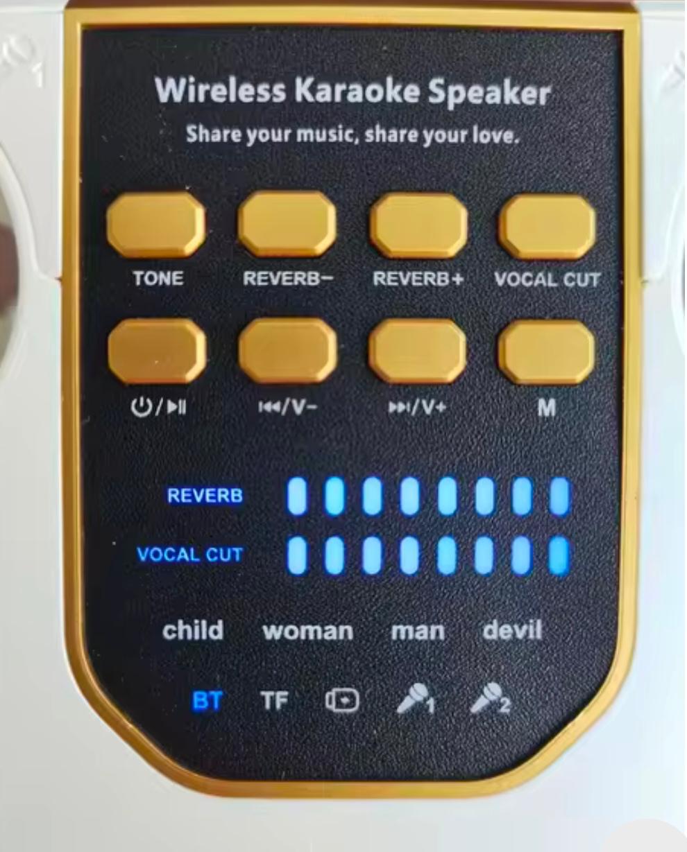 S882 Portable High Power Bluetooth Karaoke Speaker